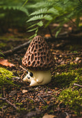Morel Mushroom Clicker